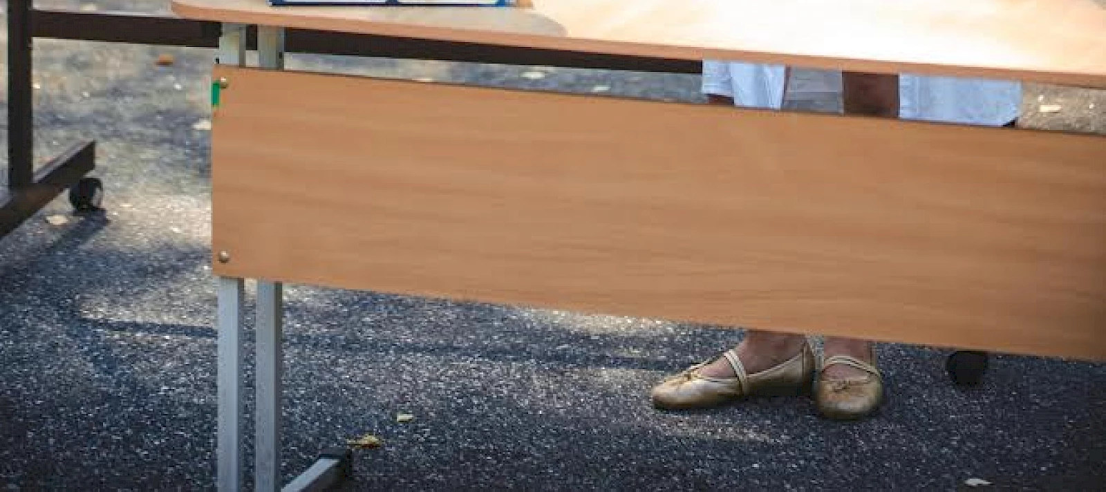 XI летняя Интеллект-школа «Корифей плюс»